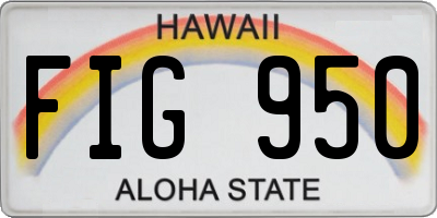 HI license plate FIG950