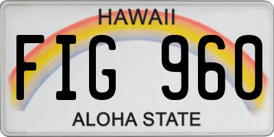 HI license plate FIG960