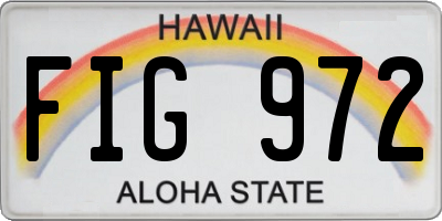 HI license plate FIG972