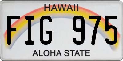 HI license plate FIG975
