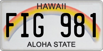 HI license plate FIG981