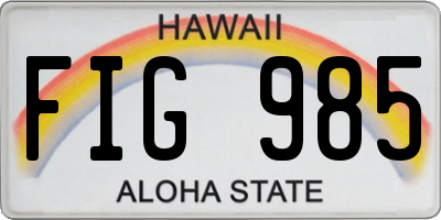 HI license plate FIG985