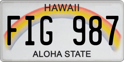 HI license plate FIG987