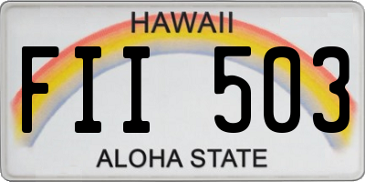 HI license plate FII503