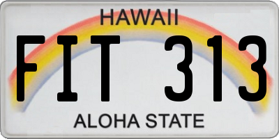 HI license plate FIT313