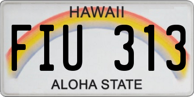 HI license plate FIU313