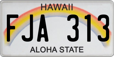HI license plate FJA313