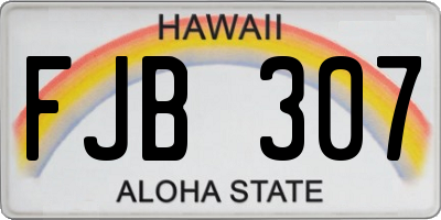HI license plate FJB307