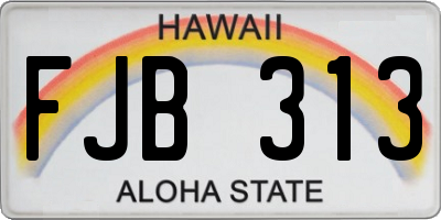 HI license plate FJB313
