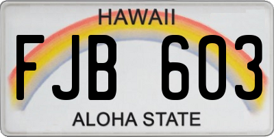 HI license plate FJB603