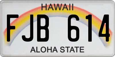 HI license plate FJB614