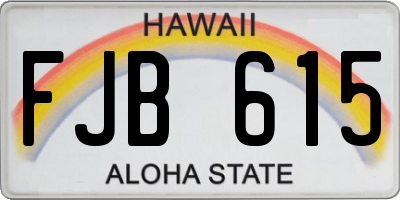 HI license plate FJB615