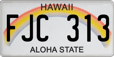 HI license plate FJC313