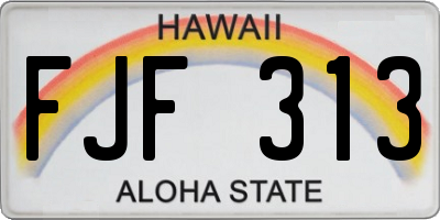 HI license plate FJF313