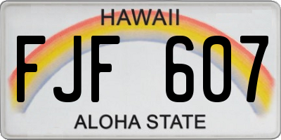 HI license plate FJF607