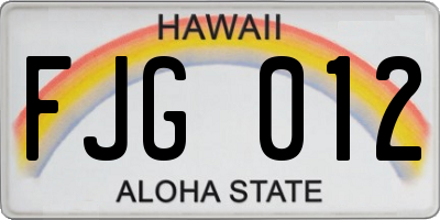 HI license plate FJG012