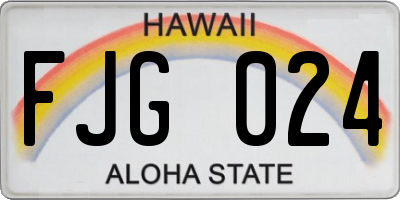 HI license plate FJG024
