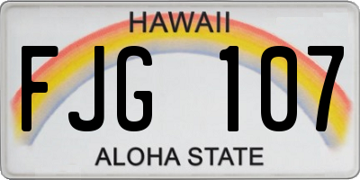 HI license plate FJG107