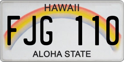 HI license plate FJG110