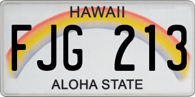 HI license plate FJG213