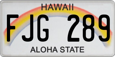 HI license plate FJG289