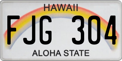 HI license plate FJG304