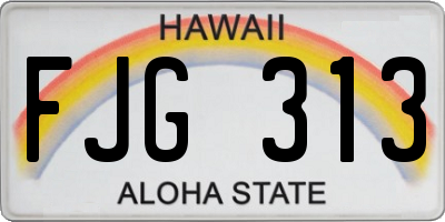 HI license plate FJG313
