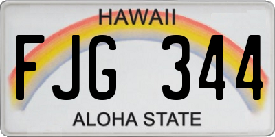 HI license plate FJG344