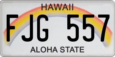 HI license plate FJG557