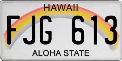 HI license plate FJG613