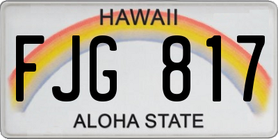 HI license plate FJG817