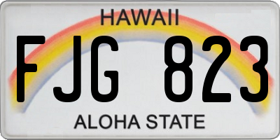HI license plate FJG823