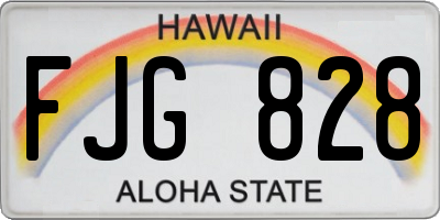 HI license plate FJG828