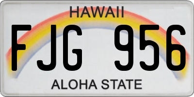 HI license plate FJG956
