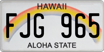 HI license plate FJG965