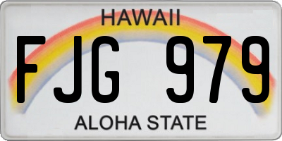 HI license plate FJG979