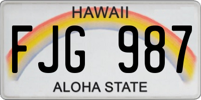 HI license plate FJG987