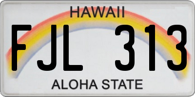 HI license plate FJL313