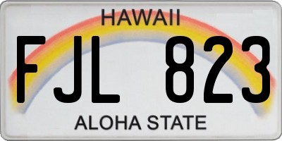 HI license plate FJL823