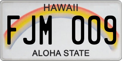 HI license plate FJM009