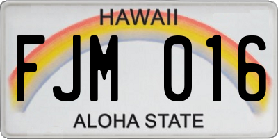 HI license plate FJM016