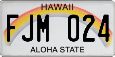 HI license plate FJM024