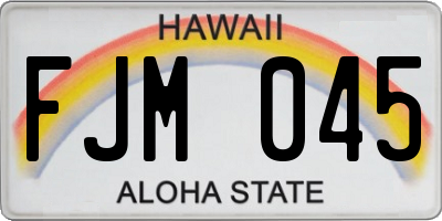HI license plate FJM045