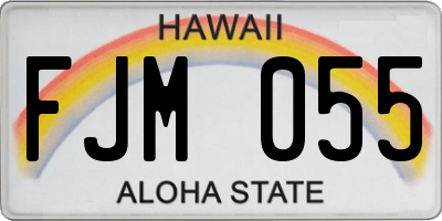 HI license plate FJM055