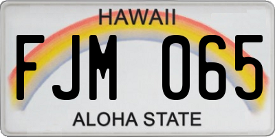 HI license plate FJM065