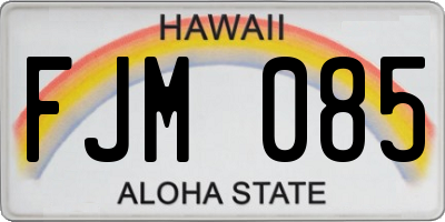 HI license plate FJM085