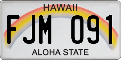 HI license plate FJM091