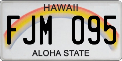 HI license plate FJM095