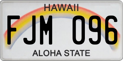 HI license plate FJM096