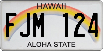 HI license plate FJM124